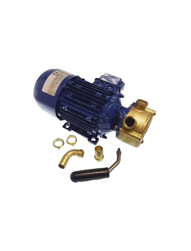 12V Electric Pump 53L/Min | Gs20222 | Goldenship - Efficient Fluid Transfer