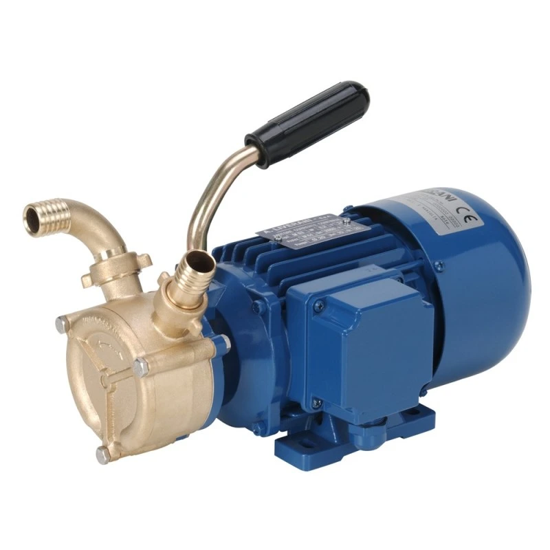 [GS20225] Electric Pump 24V 120L/Min Gs20225 - Reliable & Efficient Solution