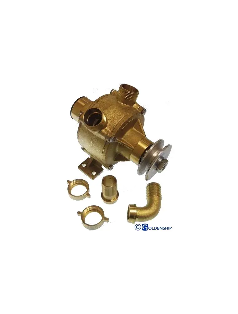 [GS20200] Water Pump 25Mm Gs20200 | Efficient Goldenship Model For Various Uses