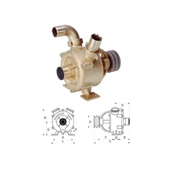 Water Pump 50Mm | Gs20203 | Goldenship | Efficient & Durable Pump