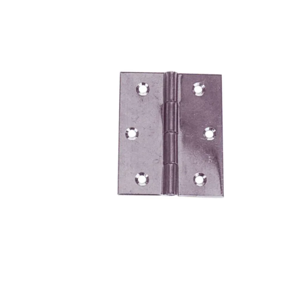 [GS72178] Door Hinge Inox 0.6Mm 40X50Mm (2) | Gs72178 | Durable Hardware