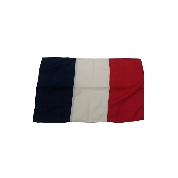 France Flag 20X30 Cm | Gs73406 | Vibrant Display For Any Occasion