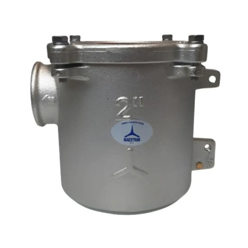 [GS30737] Water Filter 2'' Bronze Gs30737 - Ideal For Hull Applications