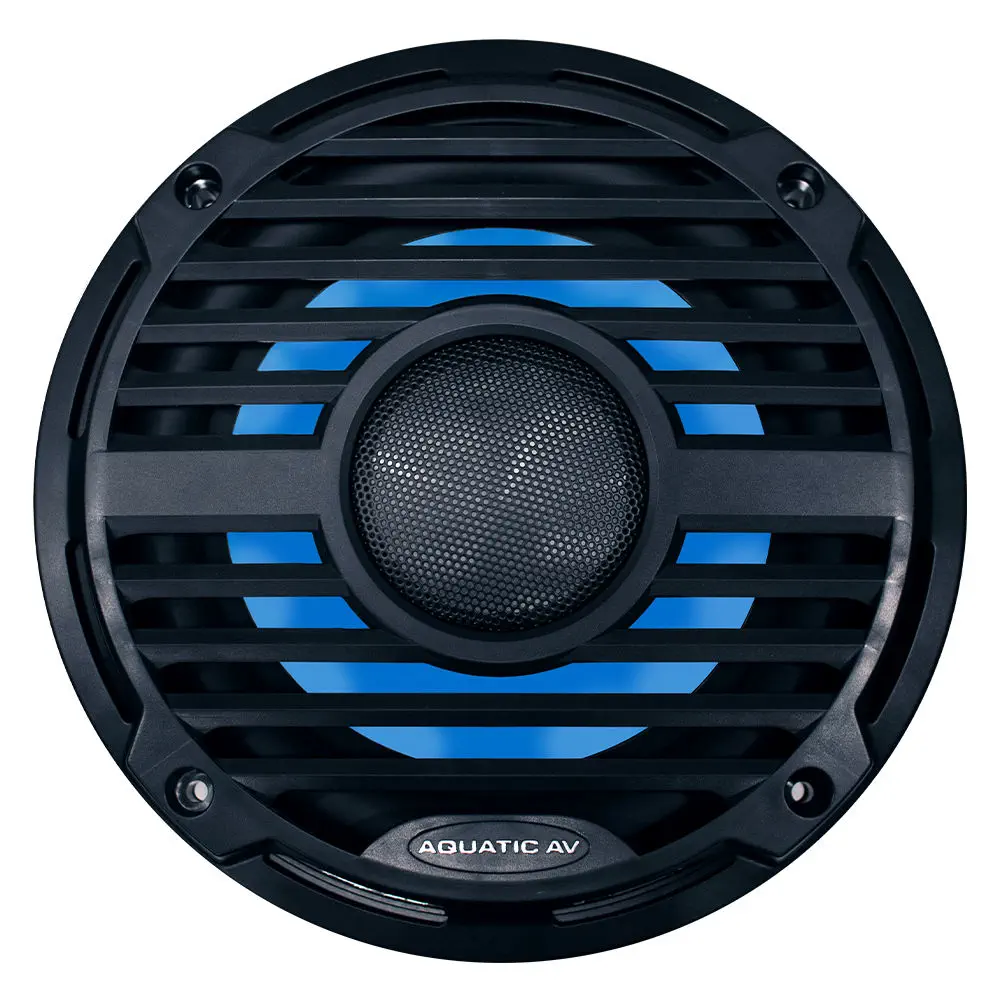 10" Pro Classic Subwoofer Black | Aq-Pc312 | Powerful Audio Performance