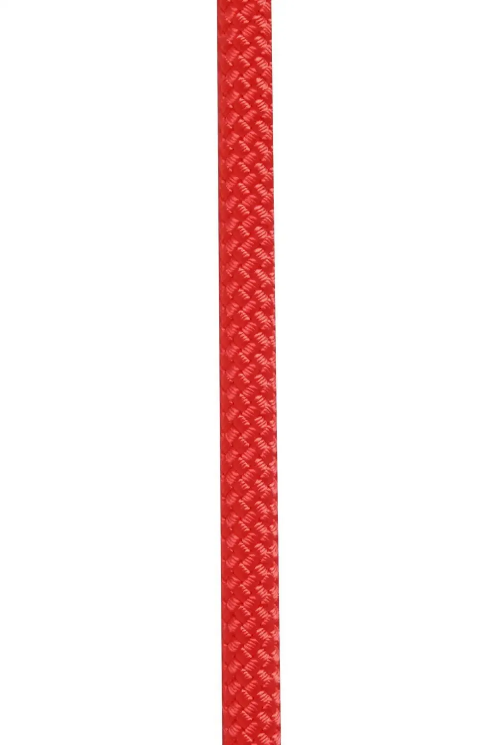[POL2202633710A] CRUISING RED 10MM. (Per Meter)  |  POL2202633710A