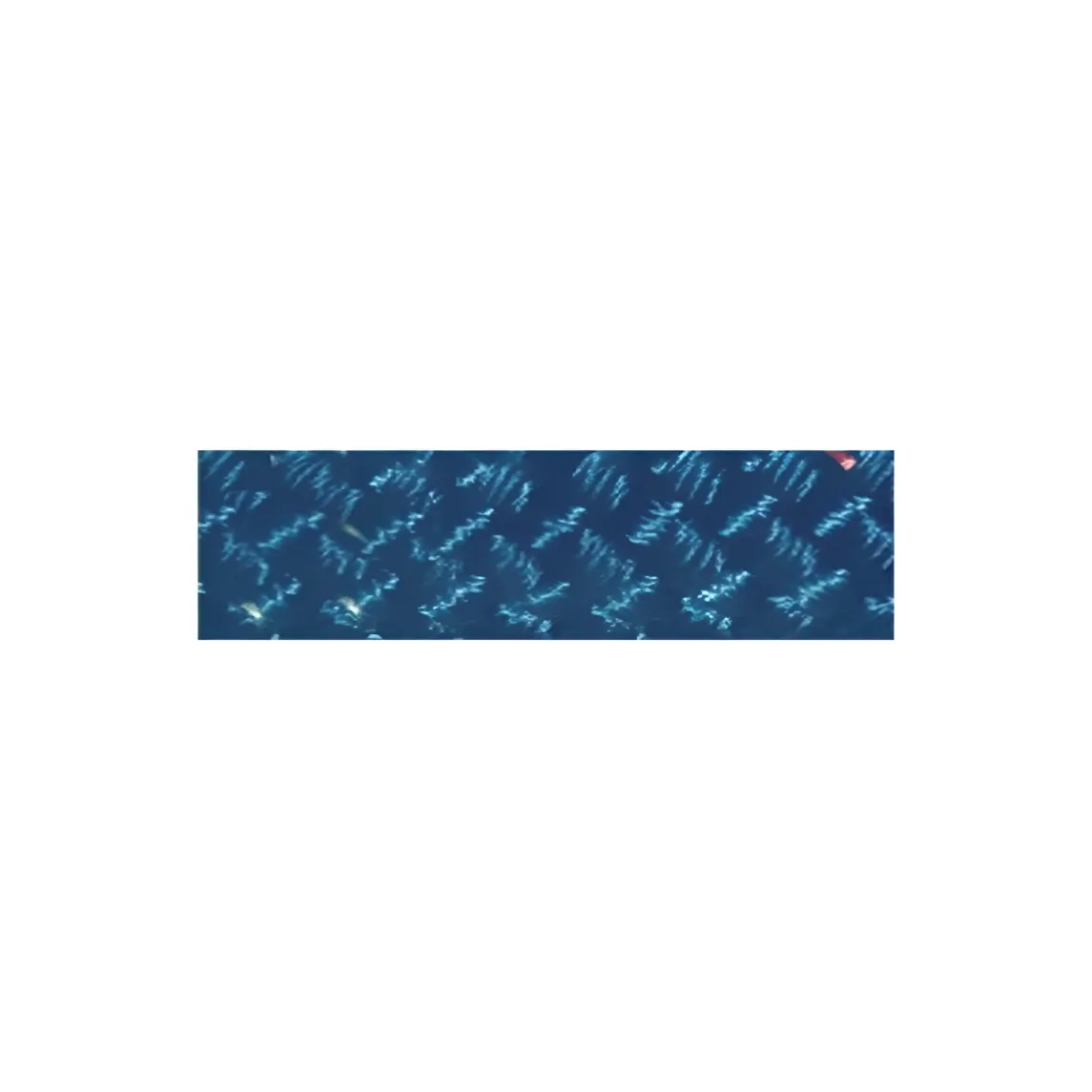 [POL2266812114A] POLY-BRAID-32 COLOR 14MM. NAVY (Per Meter)  |  POL2266812114A