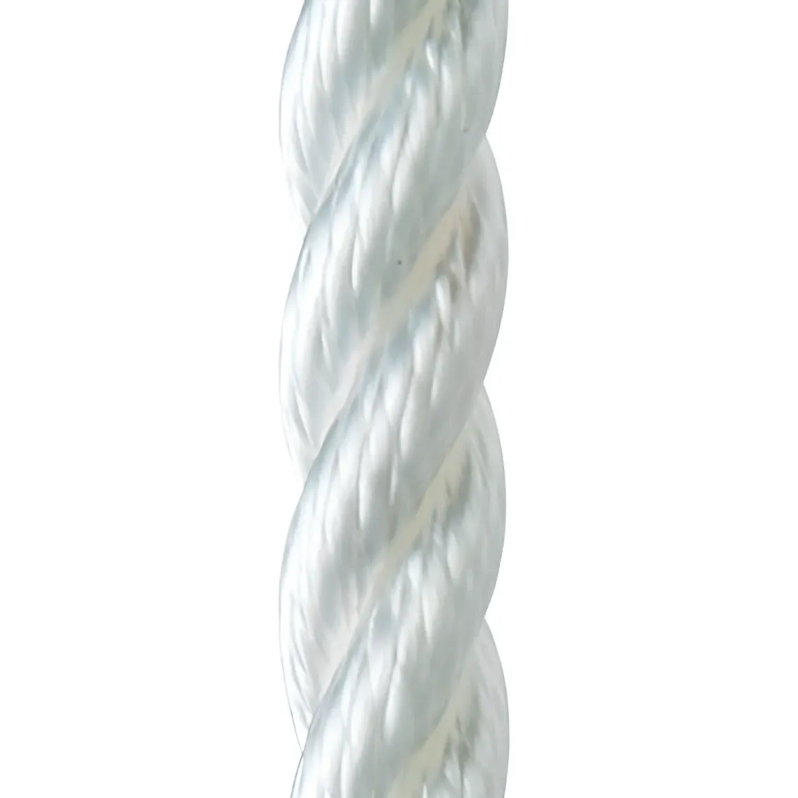 POLYSOFT WHITE 14MM. (Per Meter) | POL1209252114A