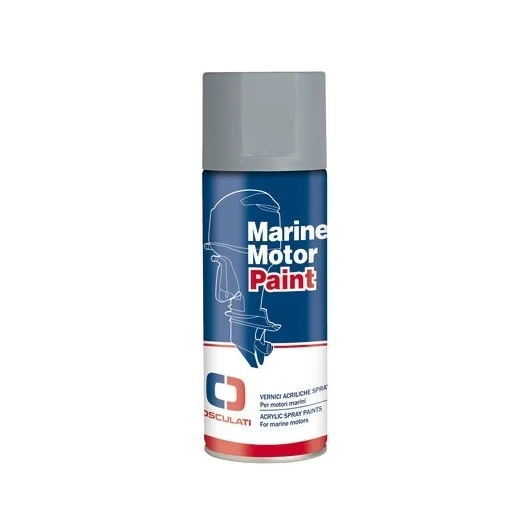 Paint for Johnson | Color Silver Metal | GS90039