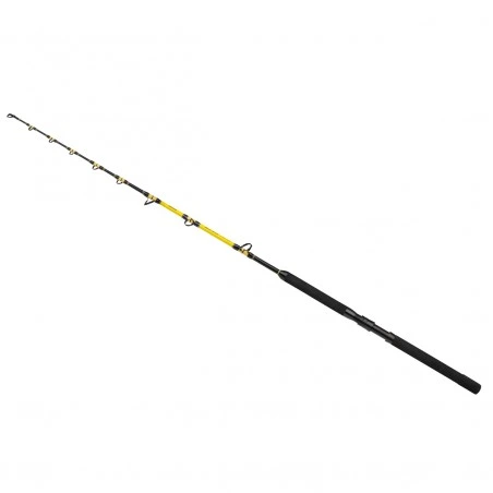 SHIMANO Fishing Rod BEASTMASTER CX STAND-UP SPIRAL | BMCXSTP50S