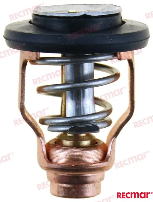 Yamaha Thermostat 55º (6D9-12411-00)