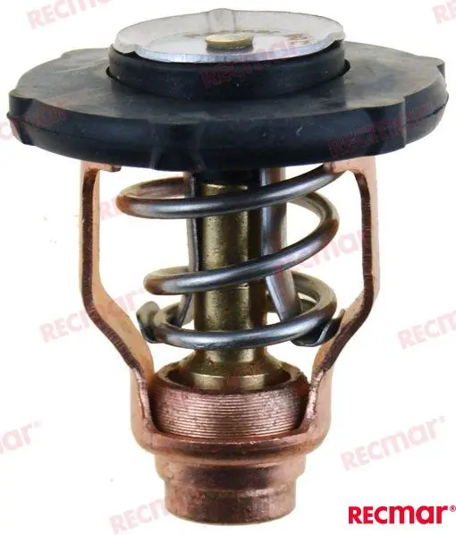 Yamaha Thermostat 60º (6FP-12411-00)