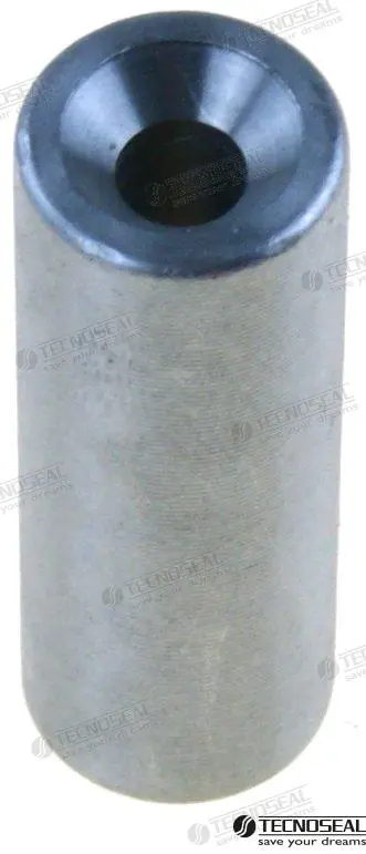 [TEN01170] ANODE for Yamaha F300A (2008-11)