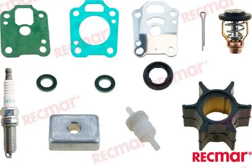 [RECKITMER4] Service kit for Mercury 4, 5, 6 HP